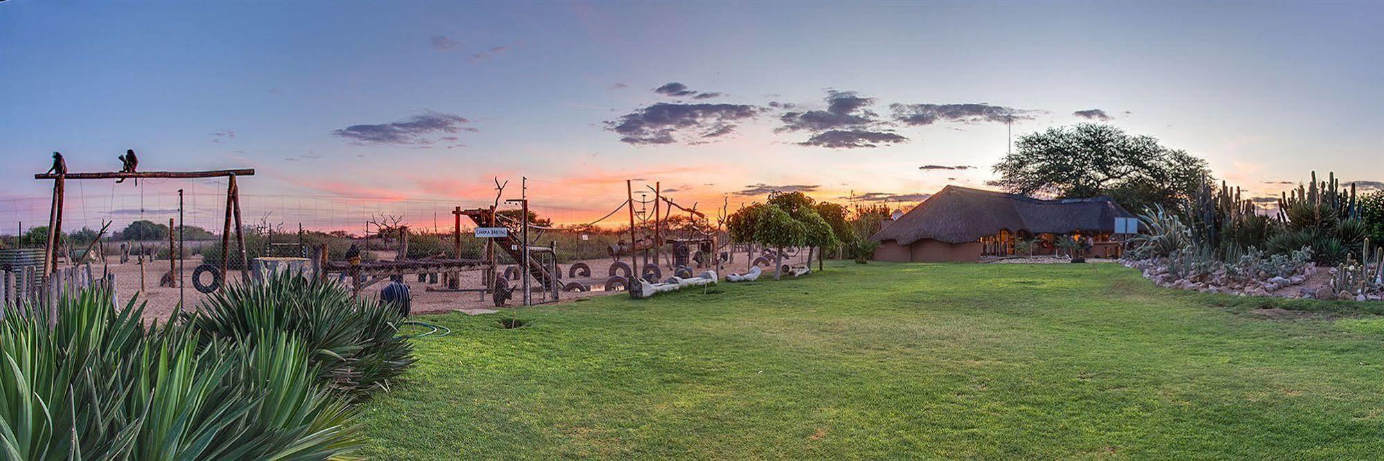 Harnas Wildlife Foundation Gobabis Exterior foto